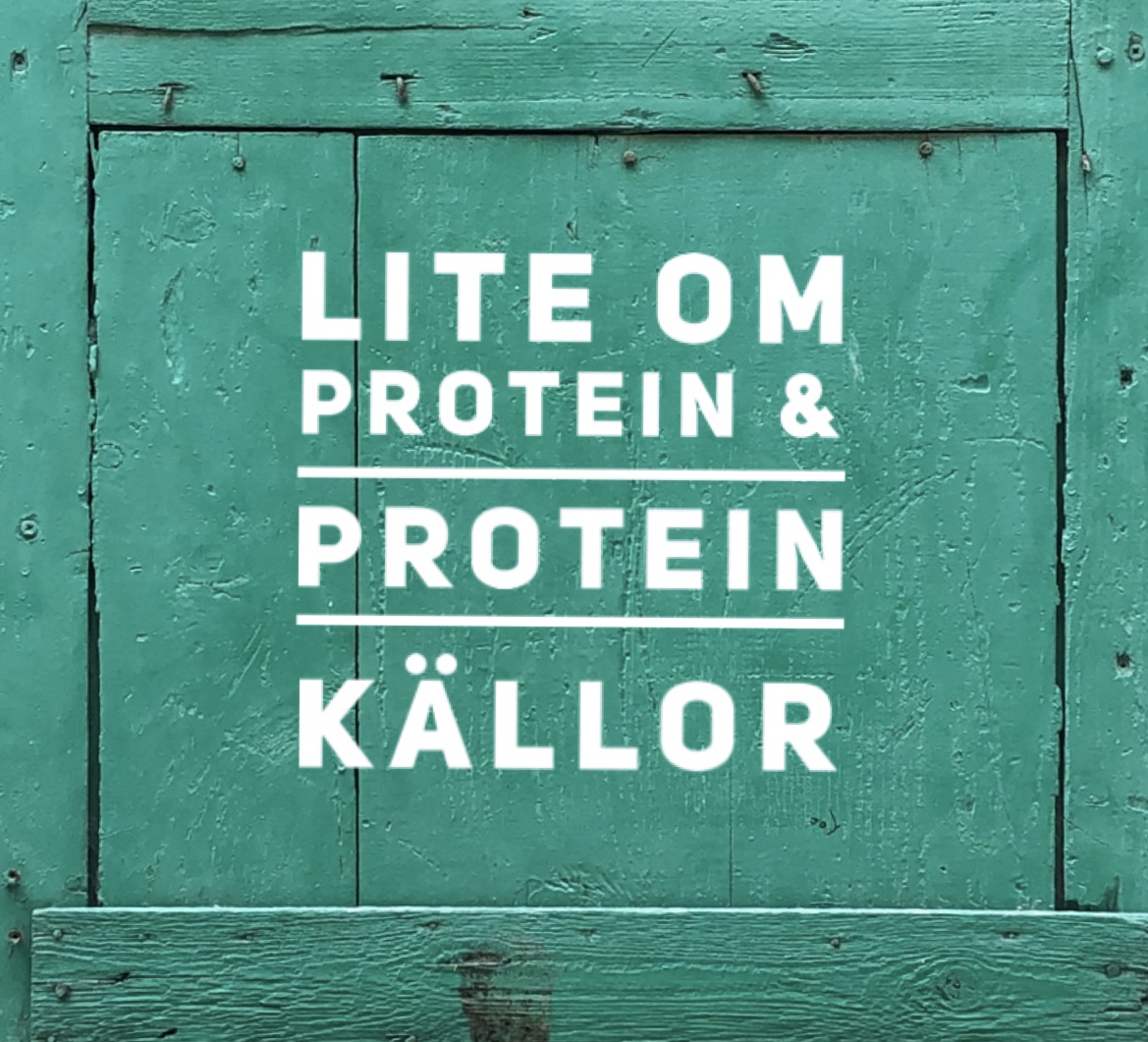 Lite om protein & proteinkällor.